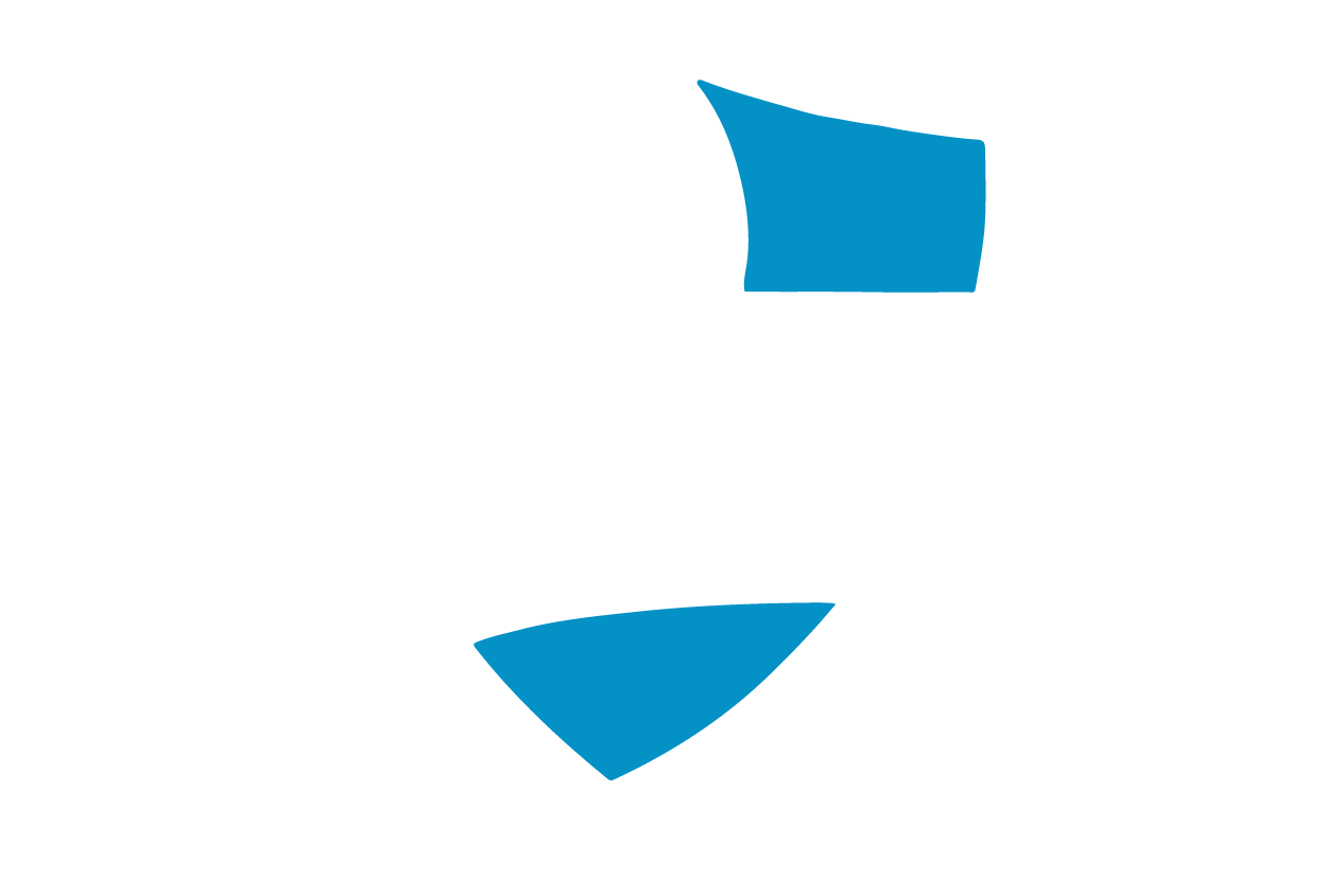 PP-PRONOS Logo